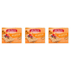 Burger Delikatesse Knäckebrot – 3 x 250 g (750 g)