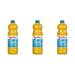 Produktbild anzeigen: Bautzner Mittelscharfer Senf Flasche – 3 x 1000 ml (3000 ml)